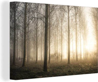 OneMillionCanvasses Canvas Schilderij Bos - Zon - Mist - 30x20 Cm - Wanddecoratie